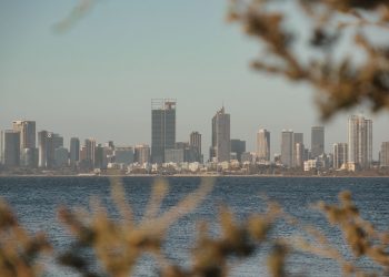 View of Perth skyline across water framed by foliage with a calm atmosphere at dusk.