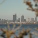 View of Perth skyline across water framed by foliage with a calm atmosphere at dusk.