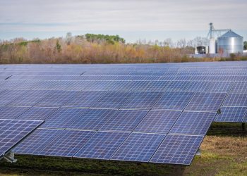 A large field of solar panels capturing renewable energy under a clear sky.