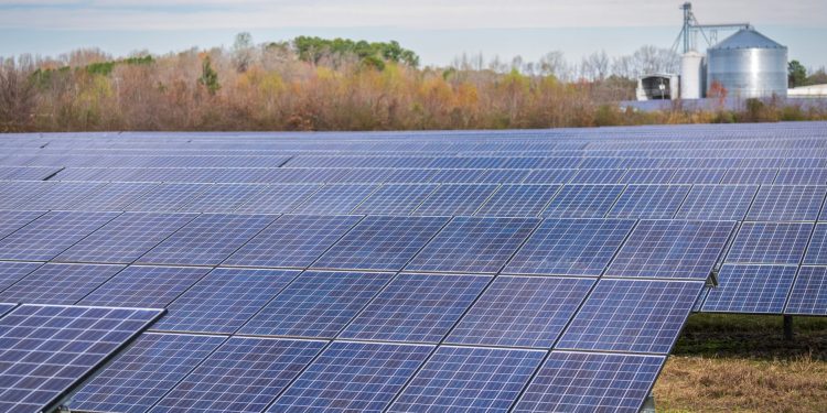 A large field of solar panels capturing renewable energy under a clear sky.