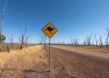 Dirt road in Winton North, Australia with a kangaroo crossing sign and clear blue sky.