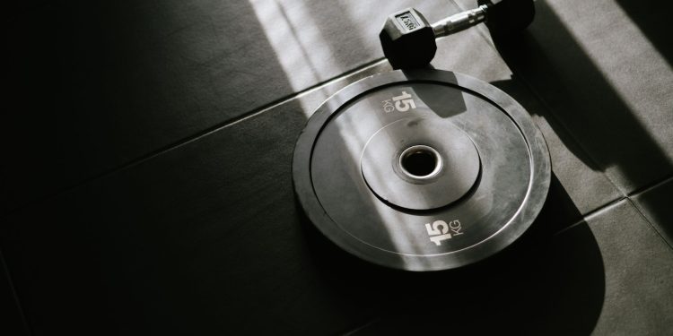 A 15 kg weight plate and dumbbell on a gym floor, lit by sunlight through a window.