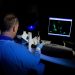 CSIRO ScienceImage 7962 Scientist in the laboratory at AAHL.jpg