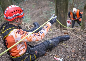 Search and Rescue team conducting an operation on a forest slope using safety ropes and helmets.