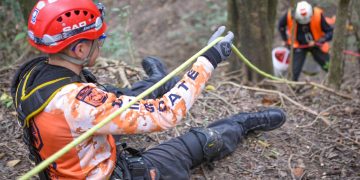 Search and Rescue team conducting an operation on a forest slope using safety ropes and helmets.