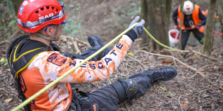 Search and Rescue team conducting an operation on a forest slope using safety ropes and helmets.