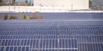A large solar farm with photovoltaic panels generating renewable energy outdoors.