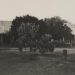 StateLibQld 1 253737 Homestead on a station property in outback Queensland, ca. 1925.jpg