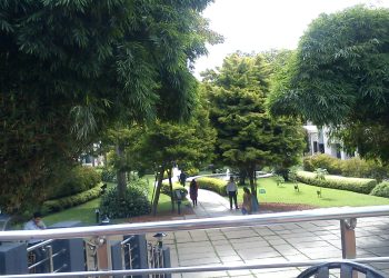 Infosys Bangalore (69281825).jpeg