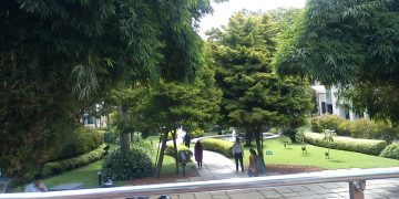 Infosys Bangalore (69281825).jpeg