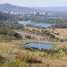 Scenic aerial shot of Canberra, showcasing lush greenery, lakes, and city skyline.