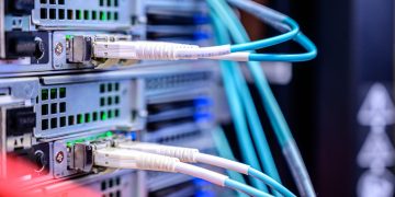 Detailed shot of Ethernet cables connected to server ports highlighting technology infrastructure.