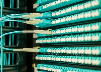 Networking cables plugged into a patch panel, showcasing data center connectivity.
