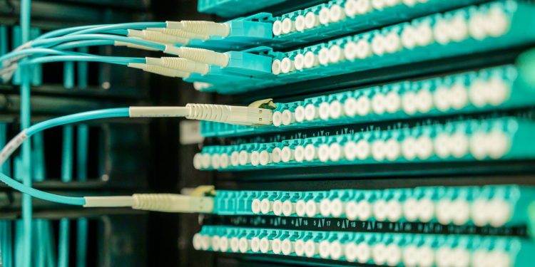 Networking cables plugged into a patch panel, showcasing data center connectivity.