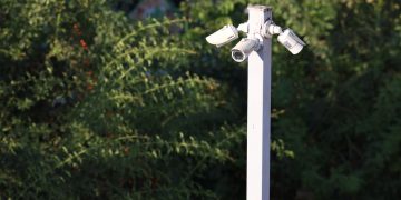 Cluster of surveillance cameras mounted outdoors amidst green foliage for public safety.