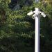 Cluster of surveillance cameras mounted outdoors amidst green foliage for public safety.