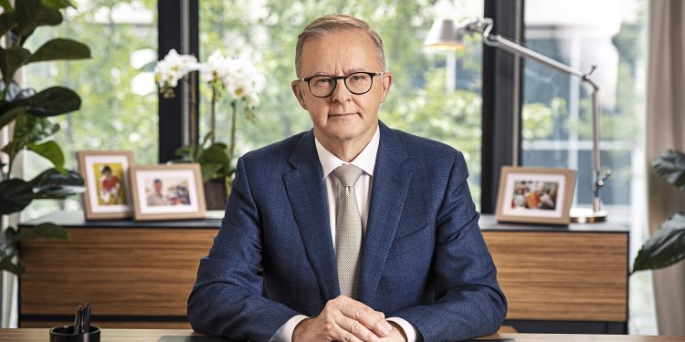 Anthony Albanese portrait.jpg