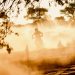 Dynamic shot of a dirt biker riding through a dusty trail with sun setting in the background.