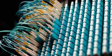 From below of long thin identical blue cables connected to small round electrical connectors