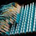 From below of long thin identical blue cables connected to small round electrical connectors