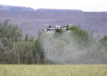 Drone spraying pesticides over a green field, highlighting modern agricultural technology.