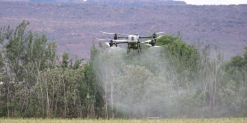 Drone spraying pesticides over a green field, highlighting modern agricultural technology.