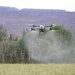 Drone spraying pesticides over a green field, highlighting modern agricultural technology.