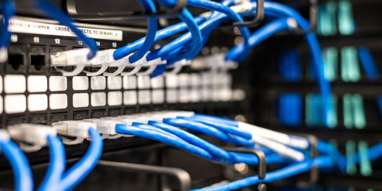 Blue plastic wires with white tips connected to server and provide access to information