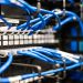 Blue plastic wires with white tips connected to server and provide access to information