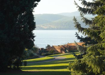 A serene view of Hobart waterfront framed by lush green trees.jpg