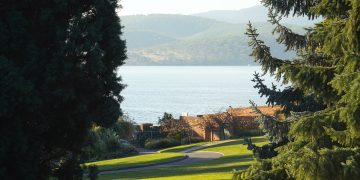 A serene view of Hobart waterfront framed by lush green trees.jpg