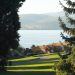 A serene view of Hobart waterfront framed by lush green trees.jpg