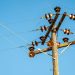 High voltage power line and insulators captured against a clear blue sky.