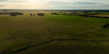 Aerial view of vast crop fields at sunset, showcasing serene farmland and agricultural landscape.