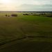 Aerial view of vast crop fields at sunset, showcasing serene farmland and agricultural landscape.